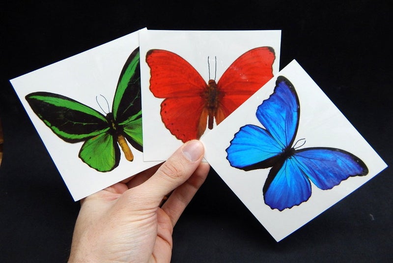 Butterfly Utopia Large Butterfly Temporary Tattoos by Butterfly Utopia (6 Sheets) - Image 3
